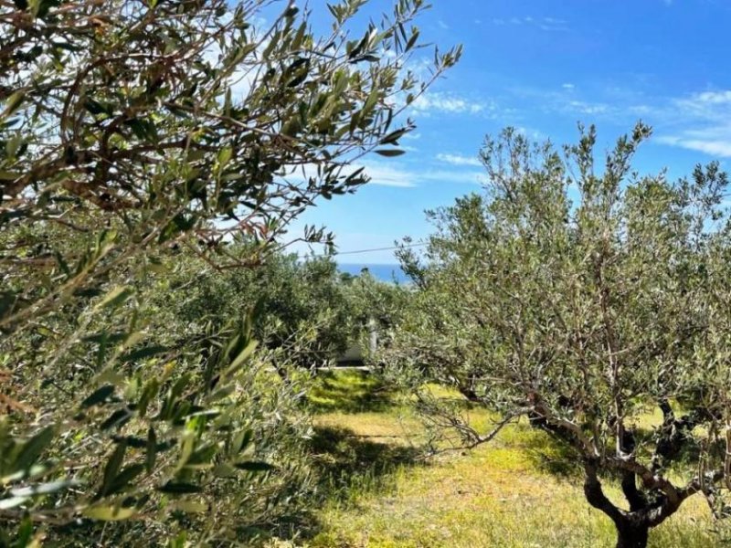 Makry Gialos Südostkreta, Makry Gialos: Grundstück mit Meerblick zu verkaufen Grundstück kaufen